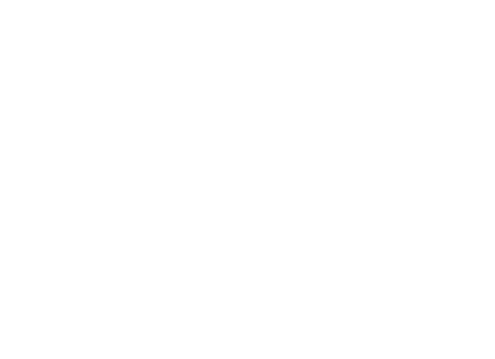 Ngọc Việt Pharma